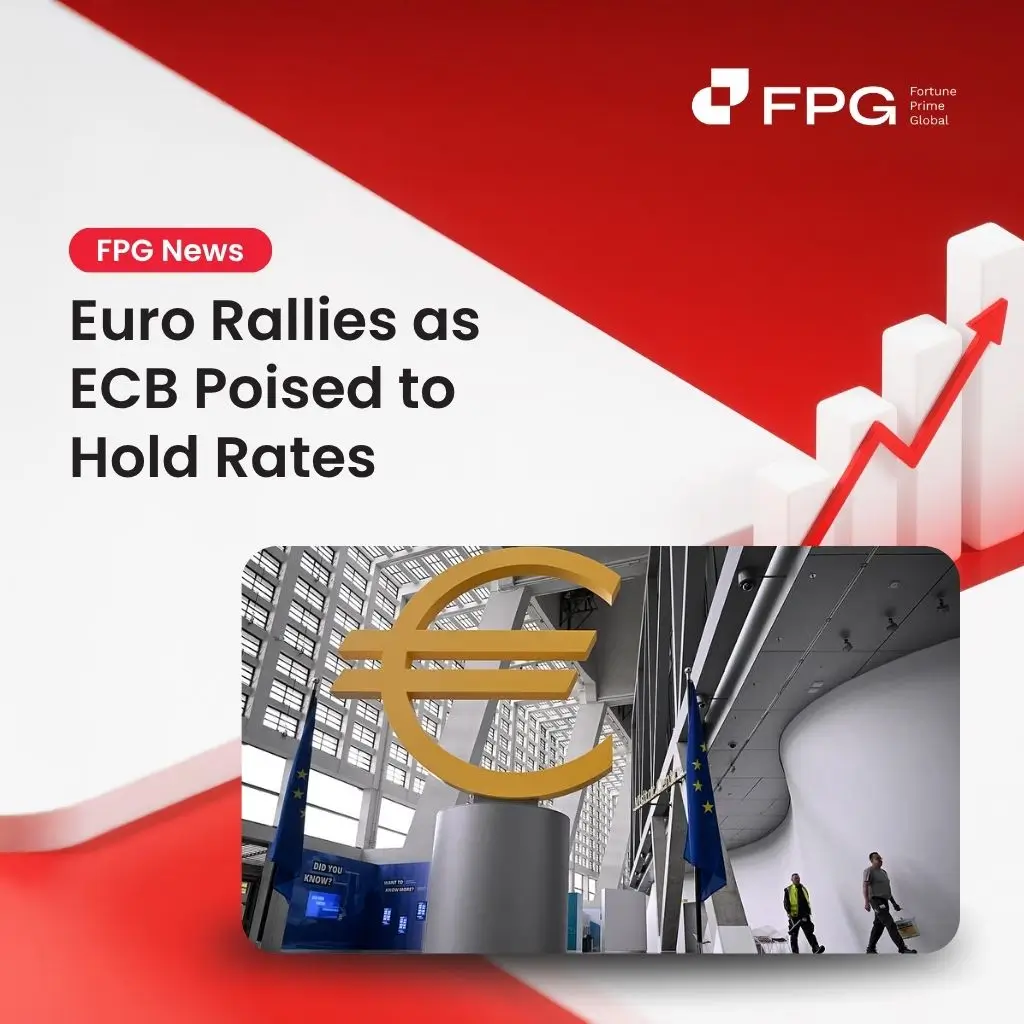 Euro Rallies as ECB Poised to Hold Rates
